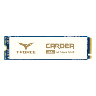 CARDEA Ceramic C440 M.2 PCIe SSD